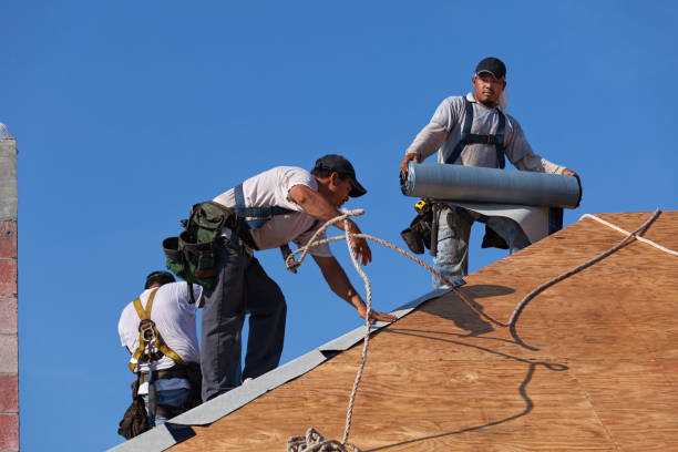 Best Gutter Installation and Roofing  in Twin City, GA