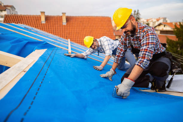 Best Sealant for Roof  in Twin City, GA